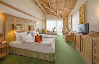 Todnauerberg Hotel im Schwarzwald - Todtnau - 1