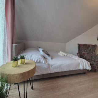 Pino House - Zakopane - 0