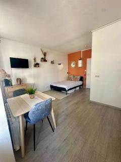 Studio, gare, Petite France, hypercentre - 4