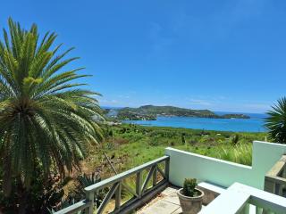 Peaceful 1 Bedroom Cottage with ocean views - English Harbour Town - 1
