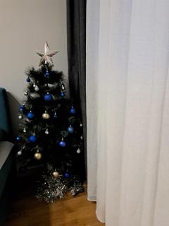 Apartment Marija - Belgrado - 9