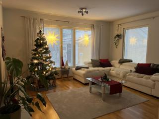 Villa Adventures of Lapland - 9