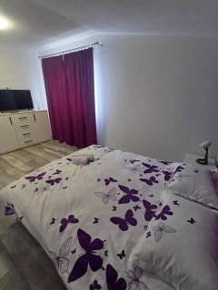 HAD Luxury Suite - Alba Iulia - 4