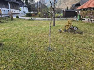 Apartmaji PRI JUNESKO - Kranjska Gora - 8