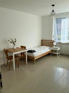 Ferienwohnung Karsau Schweiz Französische Grenze - Karsau - 3