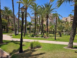 El Palmeral playa de los locos - Torrevieja - 9