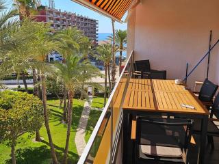 El Palmeral playa de los locos - Torrevieja - 0