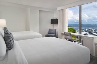 Courtyard Miami Coconut Grove - Miami - 4