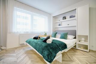apartino - FREE parking, 10 minutes walk to city centre, nespresso, netflix - Brno - 1