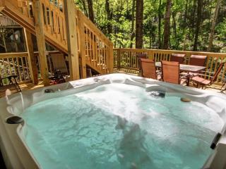Bear Sanctuary - Gatlinburg - 5