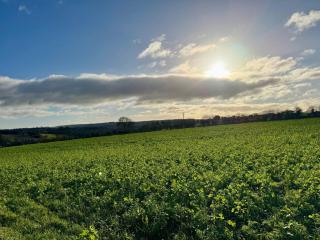 Árasán le radhairc faoin tuath - Cork - 5