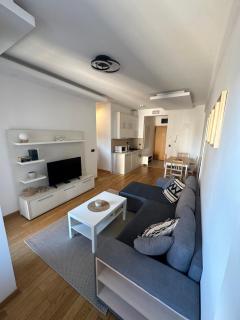 Sophies apartment Zlatibor - 8