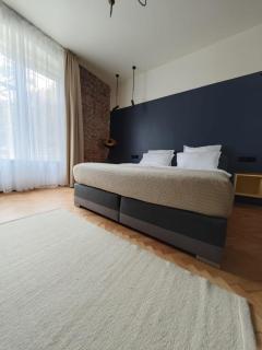 27 AP Central Romantic Nest - Timişoara - 1