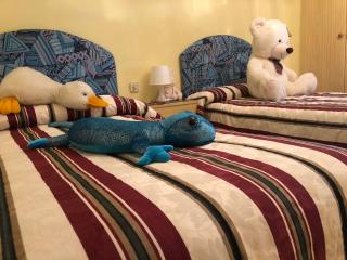 Apartamentos 7 Valles Jaca Centro - 4