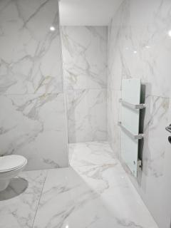 Longère avec jacuzzi intérieur - Couesmes-vauce - 2