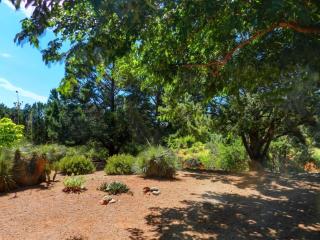 Beautiful views and backyard - Sedona - 6