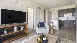 Landing at Gateway Commons - 1 Bedroom in Ellenton - Palmetto - 6