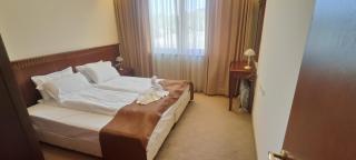 Downtown Resort Bansko- Eliko Suite - Bansko - 4