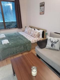 Evrika home 21 - Pamporovo - 1