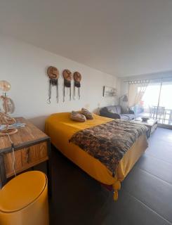 Studio pirate of the Caribbean 2 sea view - - 3