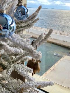 Au 526 sur mer - Bandol - 9