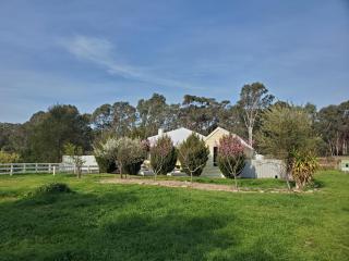 Cosy & historic 2-bed apartment - Barkers Creek - 8