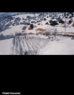 Chalet villa QUE POUR LES FAMILLES - 1