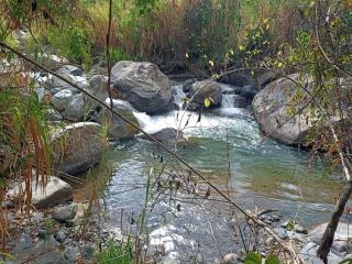 Aloha chirripo cabaña familiar - 7