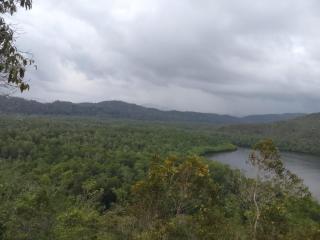 Puyau Homestay Raja Ampat - - 3