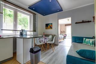 Rentimi - Apartament z tarasem - Muszyna - 8