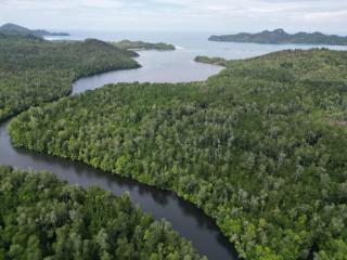 Puyau Homestay Raja Ampat -  - 6