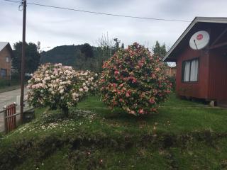 Cabaña Lago Ranco - Lago Ranco - 2