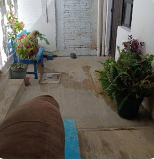 La Casa de Shari - Città di Oaxaca - 4