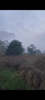 4 BHK Homestay - Anaviratty - 4