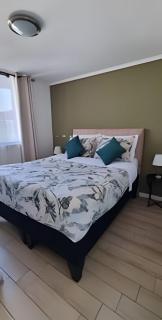 Lindo Depto para 2 cerca de Barrio Italia - Santiago - 9