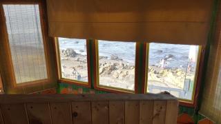 Beach Surf Front-Mareva House - Pichilemu - 9