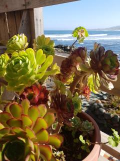 Beach Surf Front-Mareva House - Pichilemu - 8