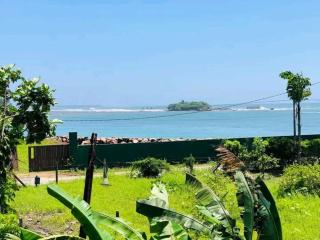 Lavender - Matara - 5