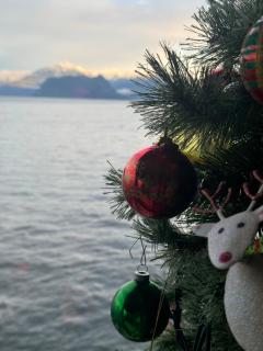 Whales house - Horseshoe Bay - 2
