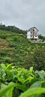 Cloudsea Homestay - Pīrmed - 7