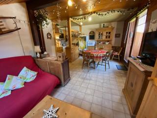 Charmant appartement proche centre, parking inclus - FR-1-692-109 - Abondance - 6