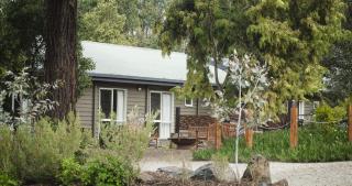 Yarra Valley Estate - Dixons Creek - 3