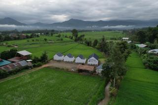 นาต้นบัวโฮมสเตย์ Natonbua Homestay - Nan - 8