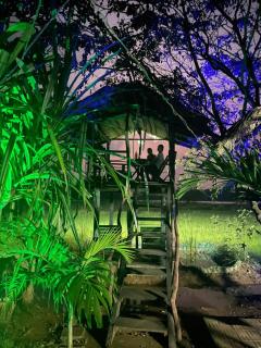 Lake Wind - Habarana - 9