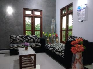 Mount View Villa - - 2