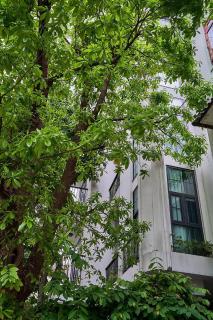 Twilight Airport Hotel - Ho Chi Minh-stad - 3