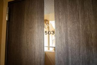クリステート503-Crystate 503- - Quioto - 6
