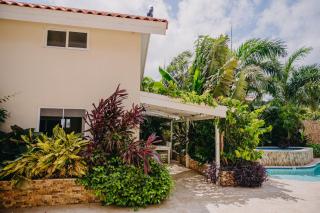 Cozy 1-bedroom-apartment 2 km from Eagle beach - Palm-Eagle Beach - 8