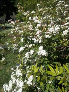 2 cozy rooms in amazing Tuscany with rustic style - 4