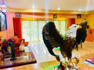 Sunset Double Room in Stunning Villa Playacar Ii - 1